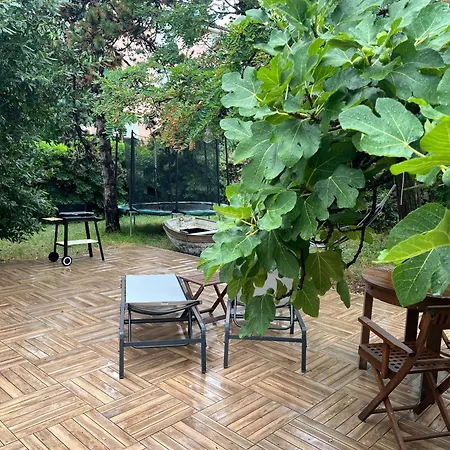 Holiday Little Oasis